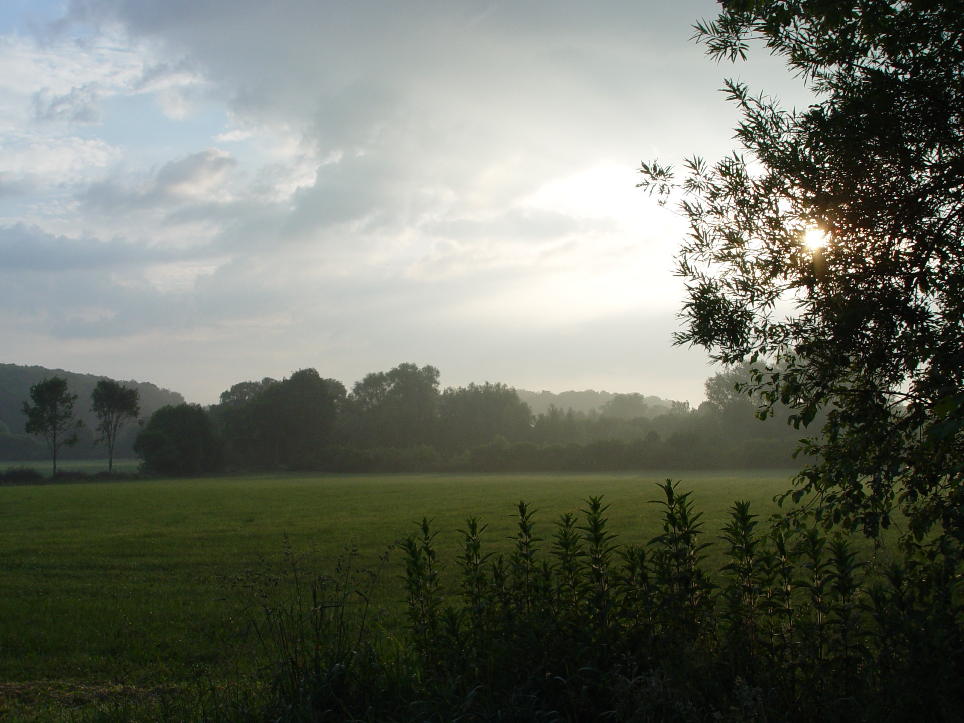 Rund um Steinfurt