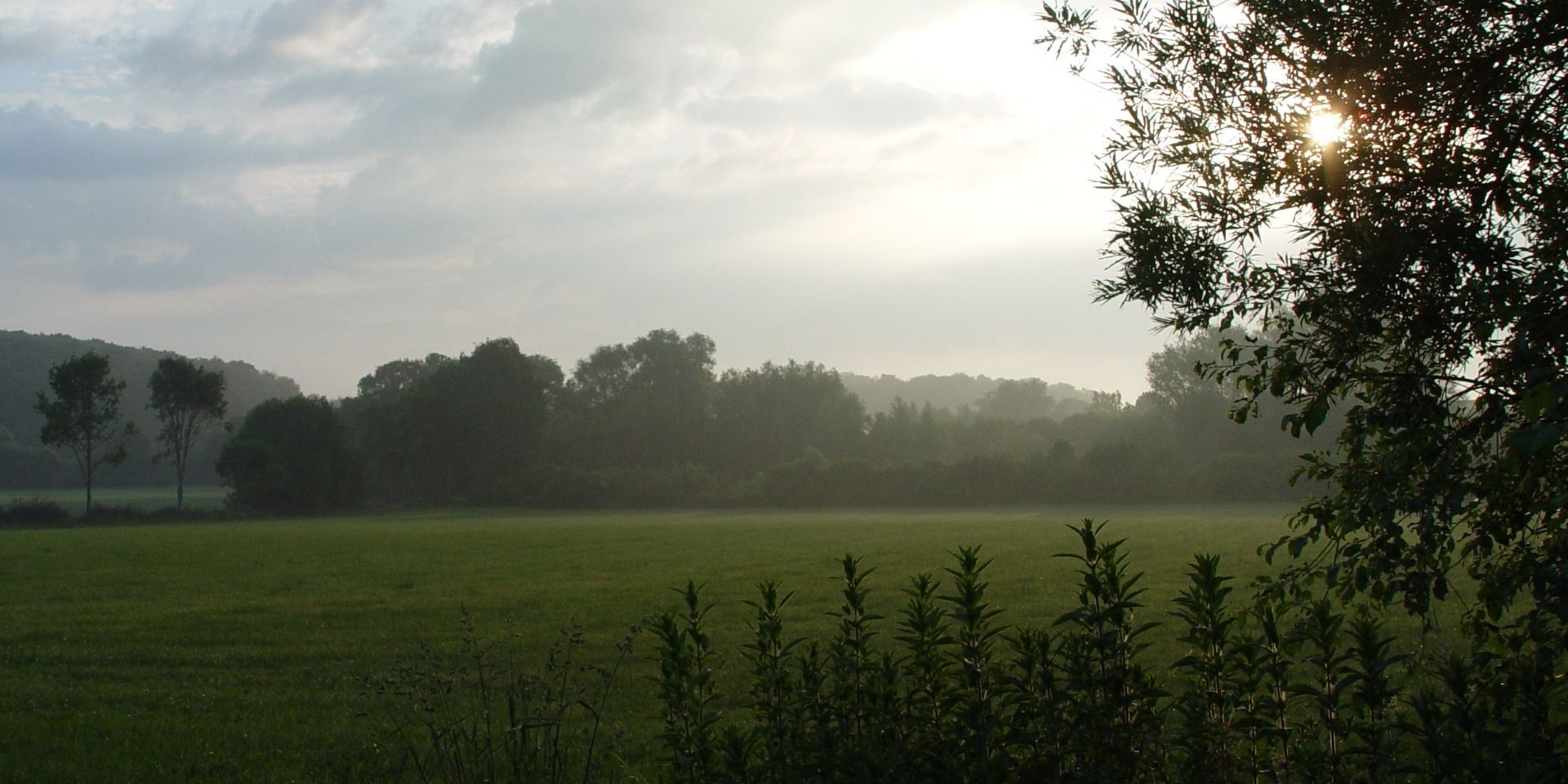 Münsterland