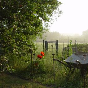 Münsterland