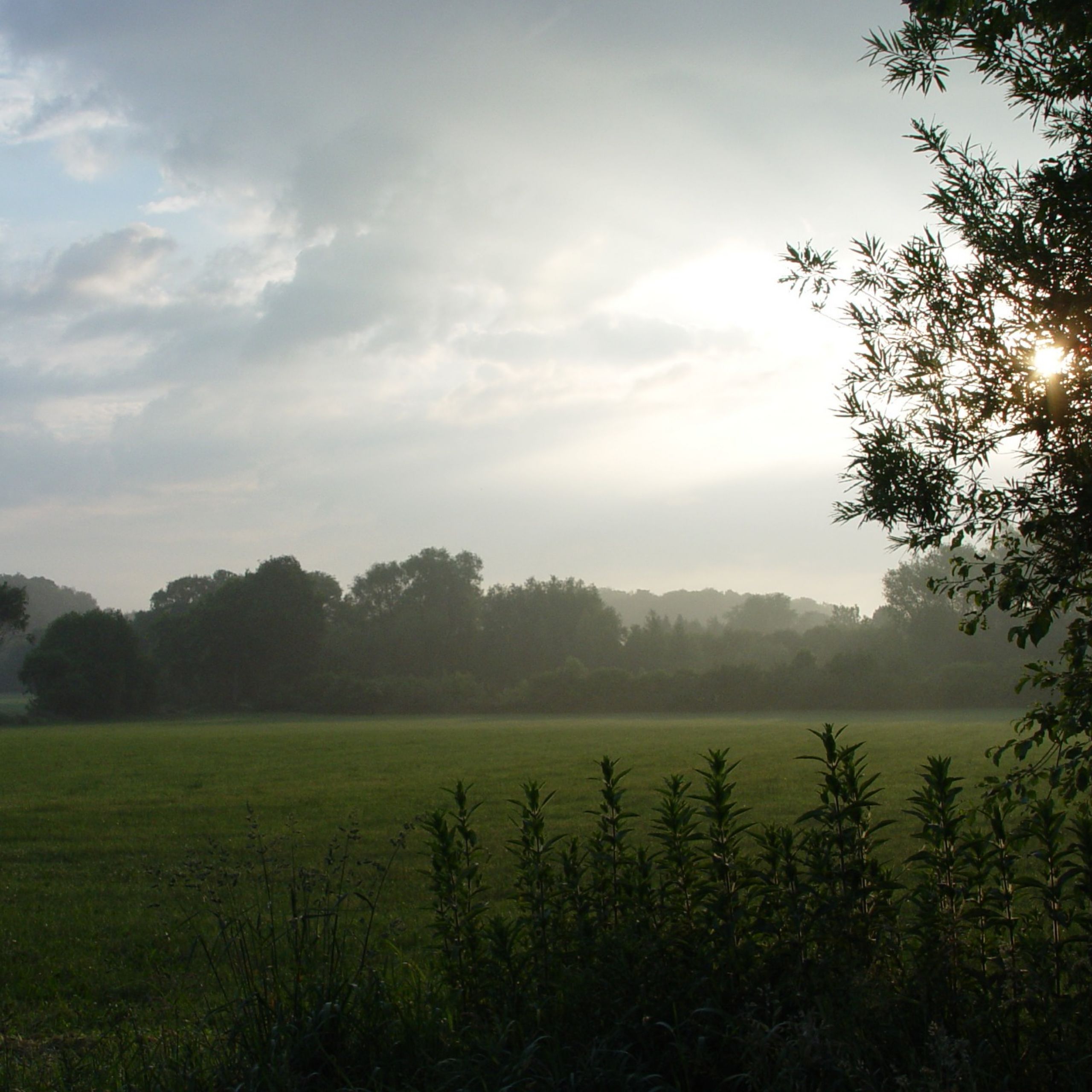 Rund um Steinfurt