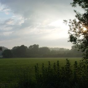 Münsterland