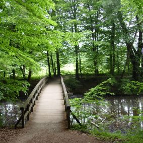 Münsterland