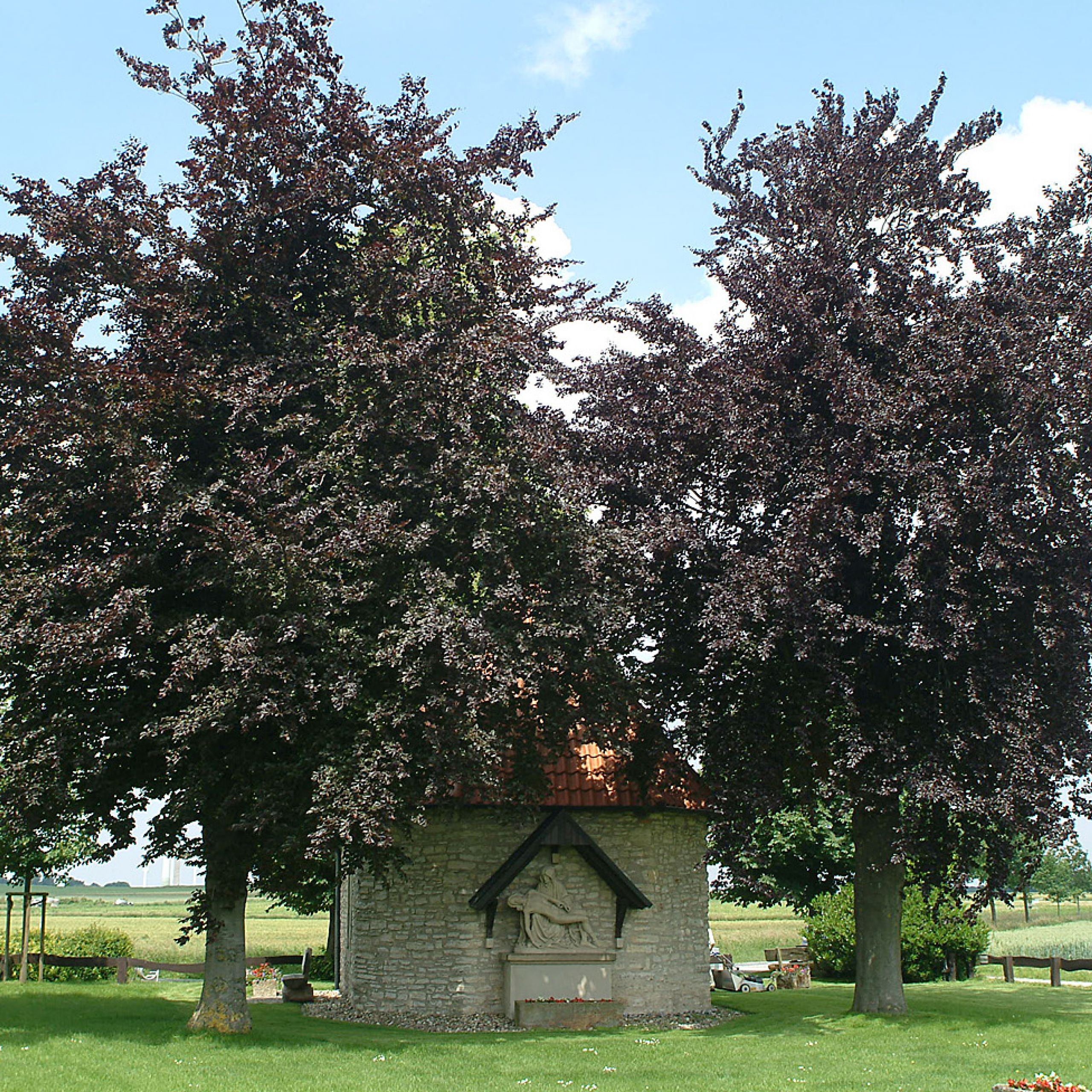 Schöppingen per Rad