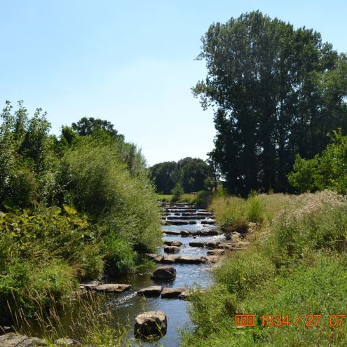 Wettringen-Fischtreppe-Hagenhoffs