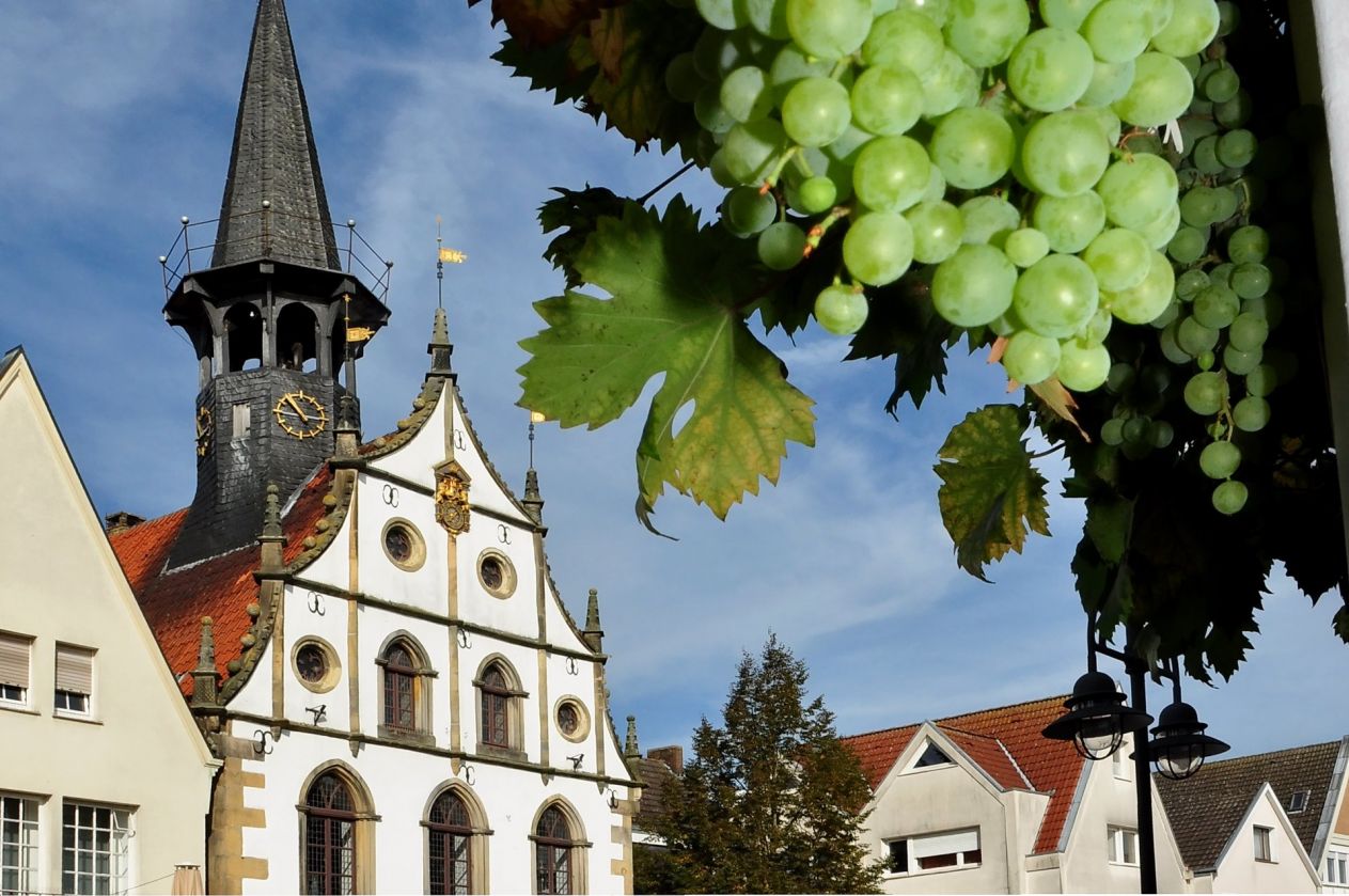 Historische Altstadt Steinfurt