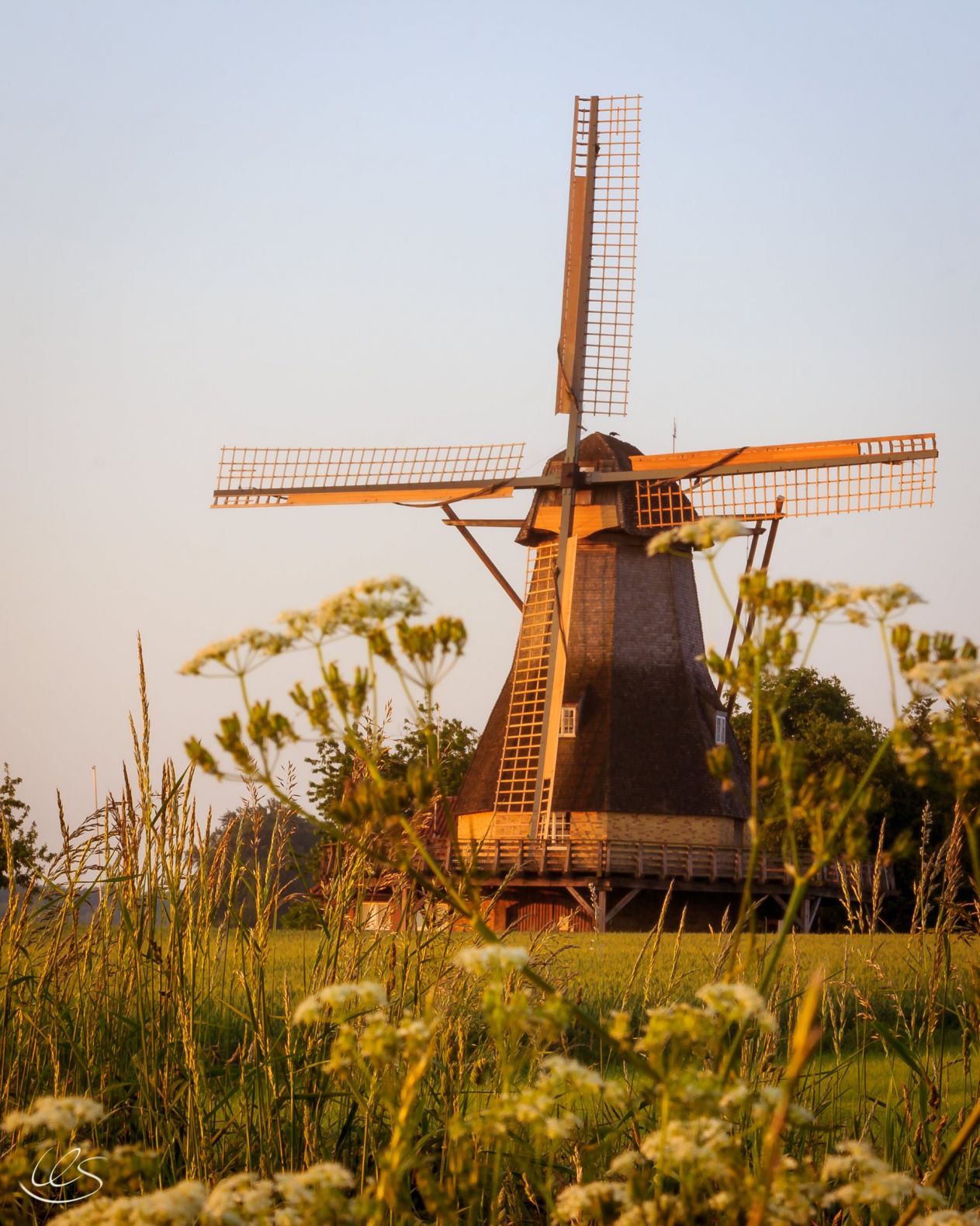 Hollicher Mühle Steinfurt